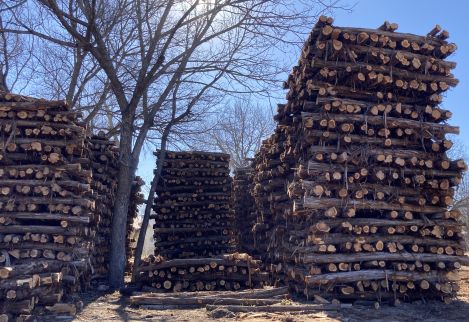 Towers of fence posts!