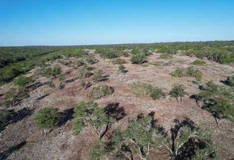 We work with landowners to improve rangesites and reclaim habitat choked with cedar.