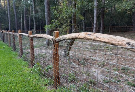 This is one example of a fence built by our customer to contain animals without detracting from the natural beauty of the land.