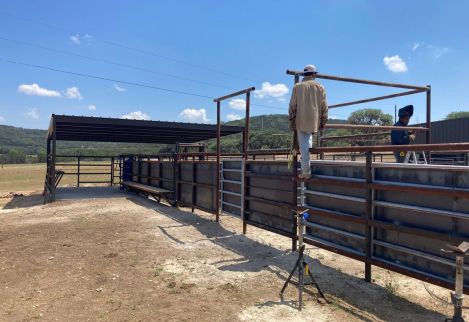 Our crew erecting a set of cattle pens.
