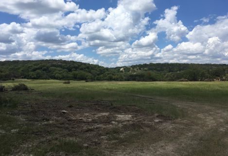 A large field returned to production after 30 years of cedar infiltration.