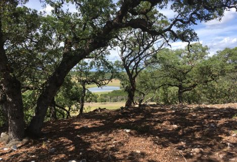 We hand cleared the thick cedar from this high bluff to create a scenic vista for the landowners to enjoy.