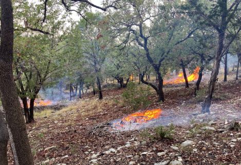 We hand cleared and trimmed the trees in this area, making manageable burn piles raise the canopy and create visibility while retaining woody transition cover for wildlife.