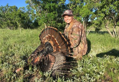 A spring turkey called into shotgun range in a pasture we brush sculpted for this purpose.