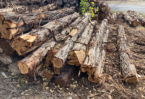 Because we source our cedar from the limestone soils within 50 miles of Kerrville, our true mountain cedar posts have tremendous heart, ensuring longevity.