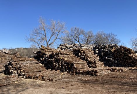 We have the largest inventory of mountain cedar posts anywhere!
